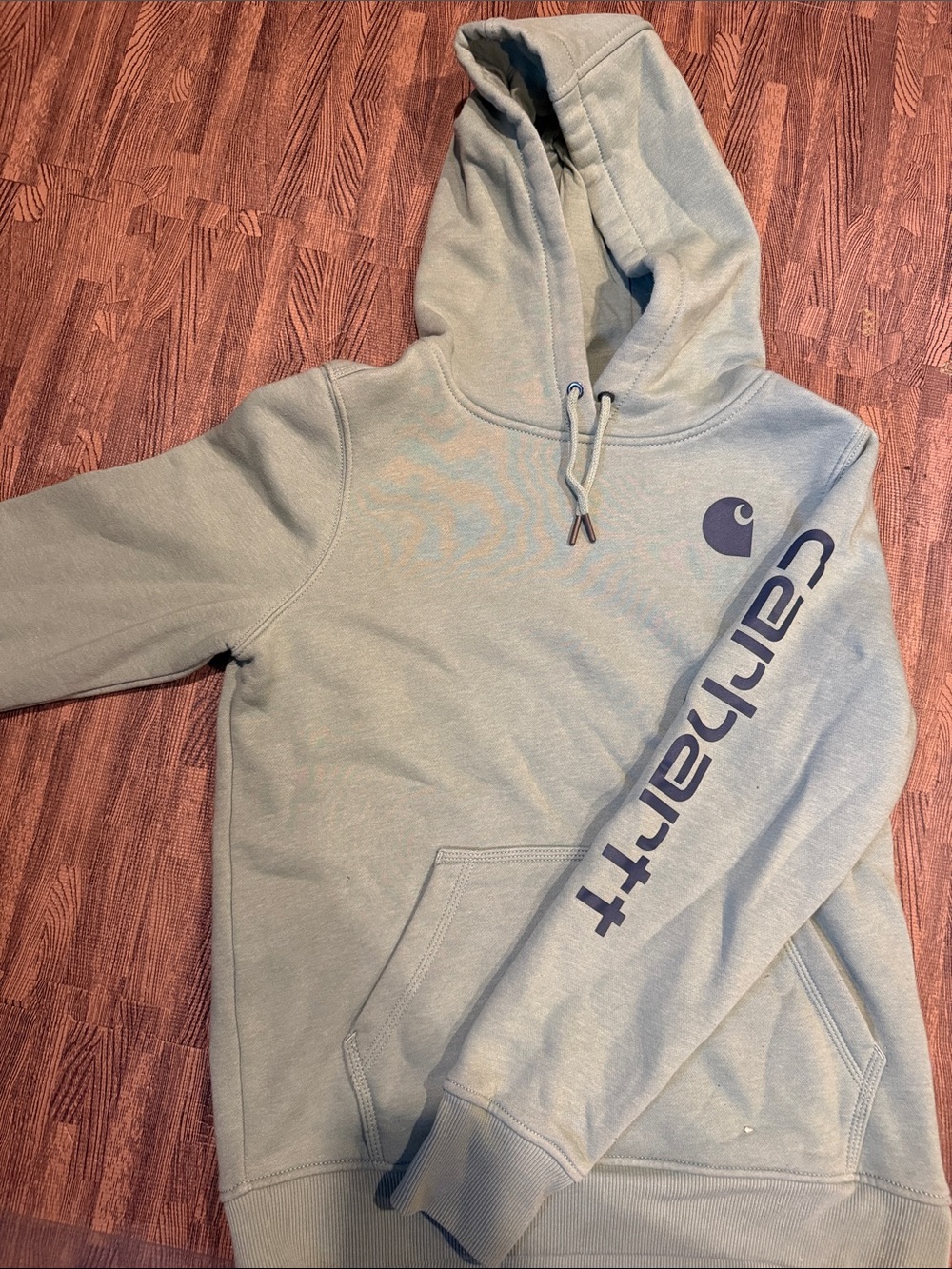 Carhartt Hoodie in Light Sage with Navy Logo